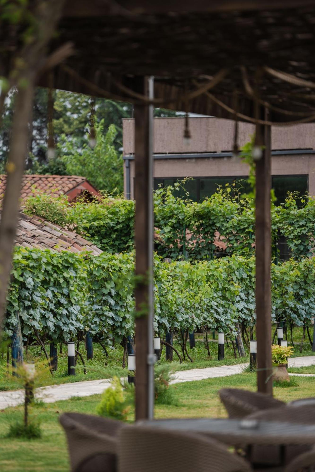 Vineyard Hotel & Winery Napareuli Exterior foto